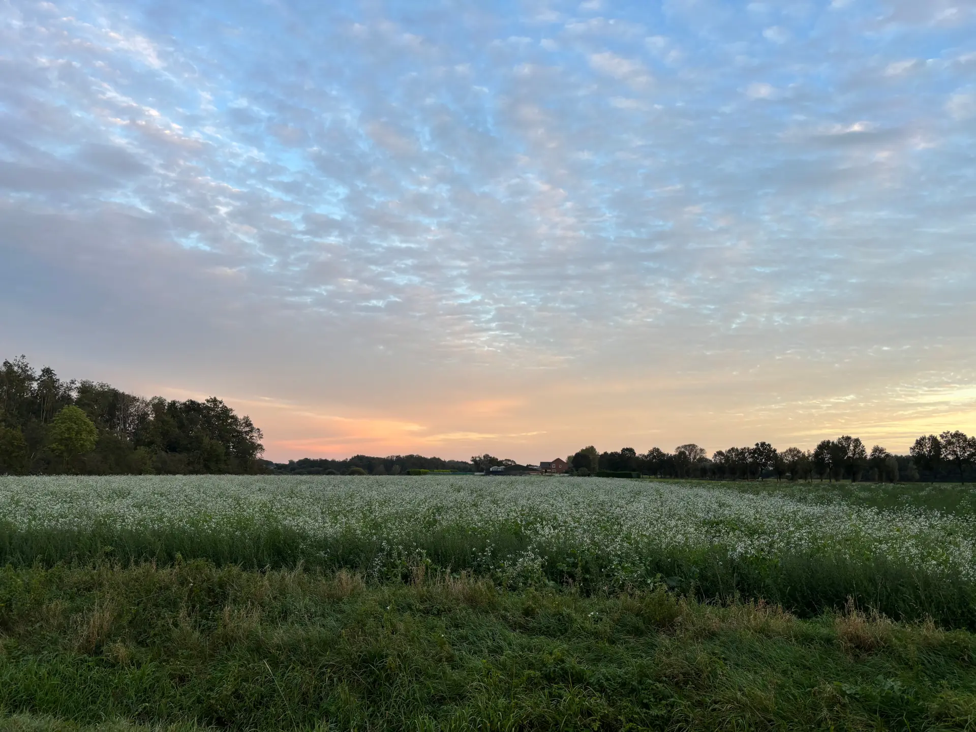 Foto Heuloërbroek landschap