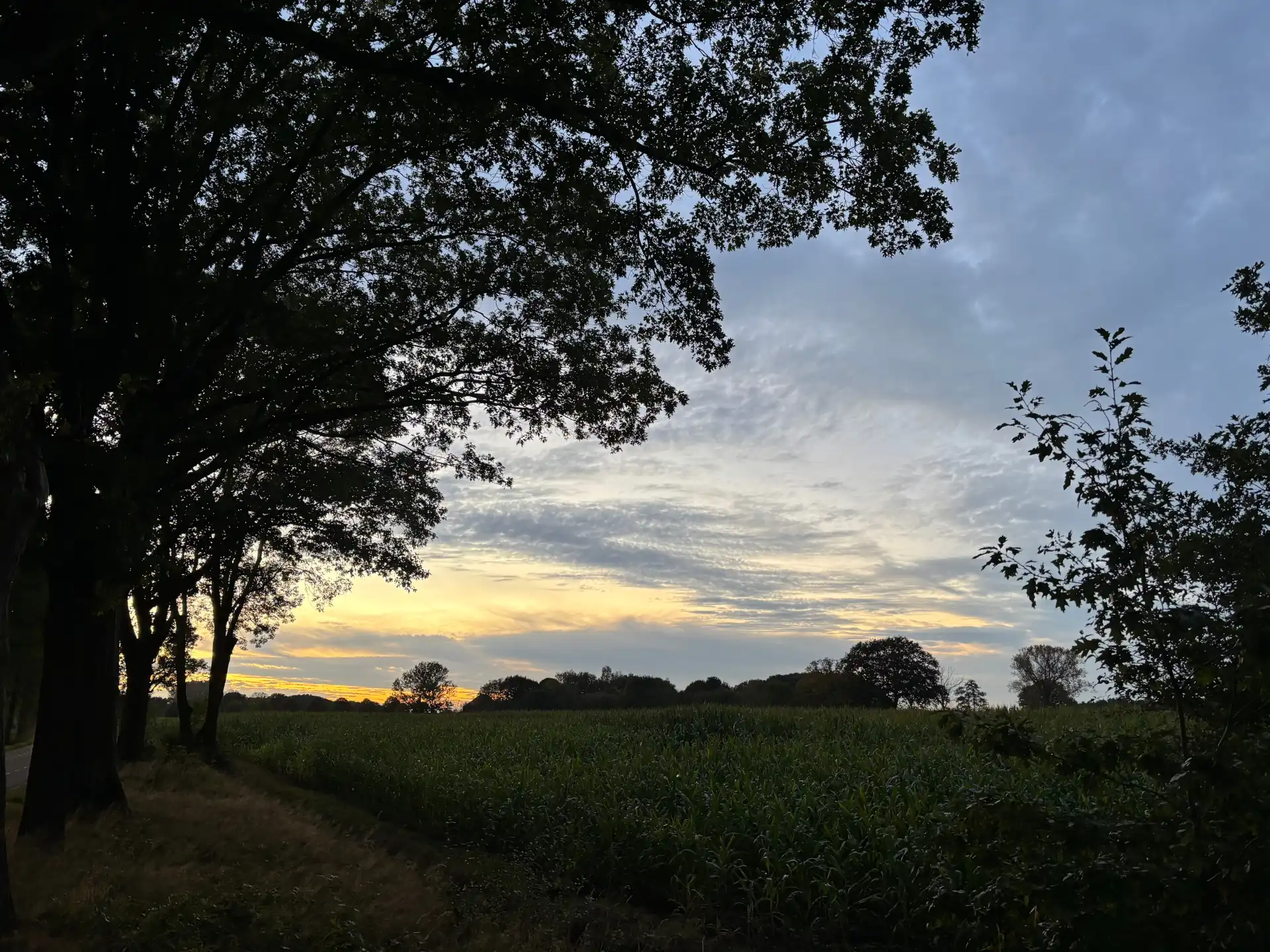 Foto Heuloërbroek bos