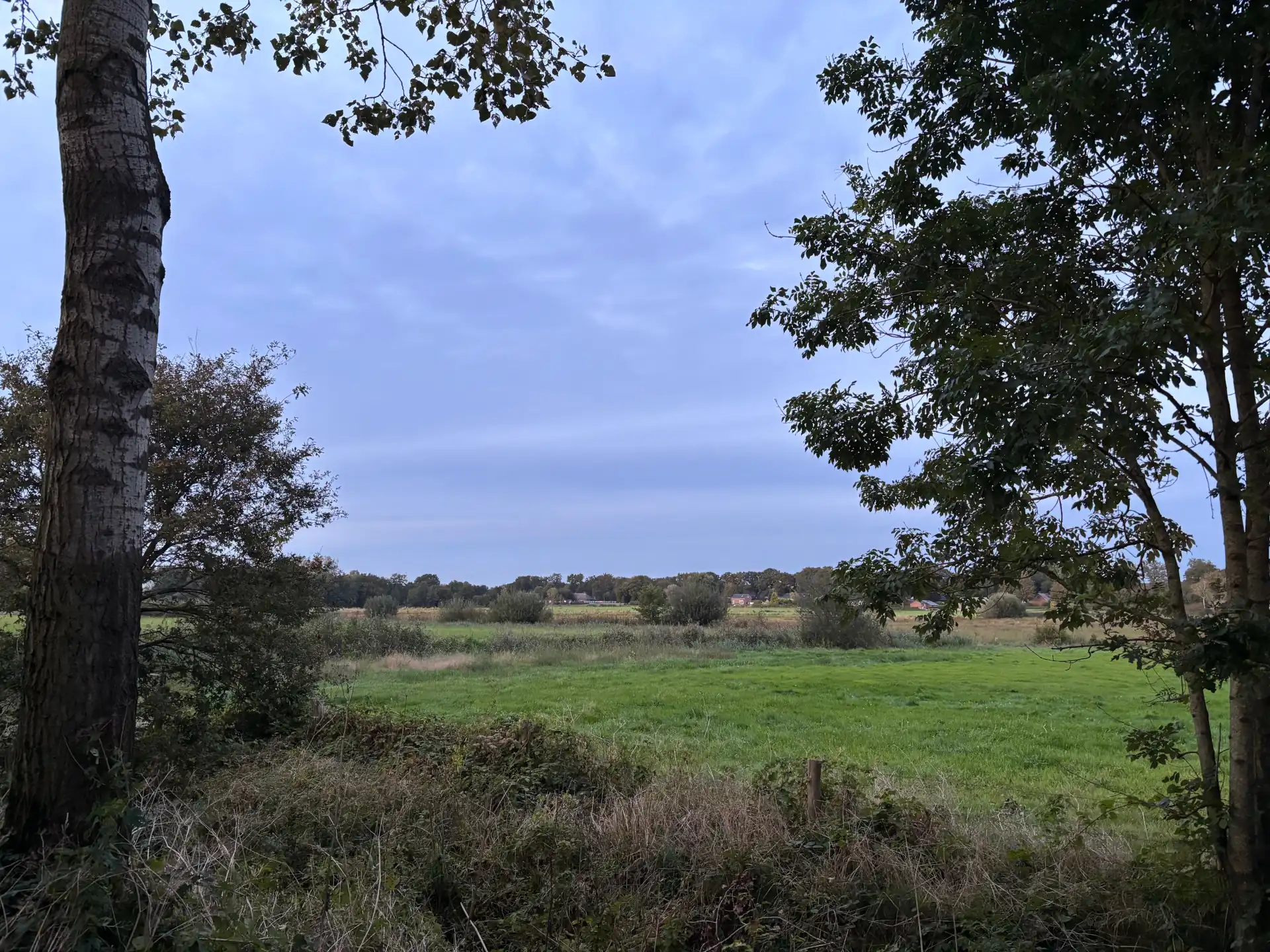 Foto Heuloërbroek landschap