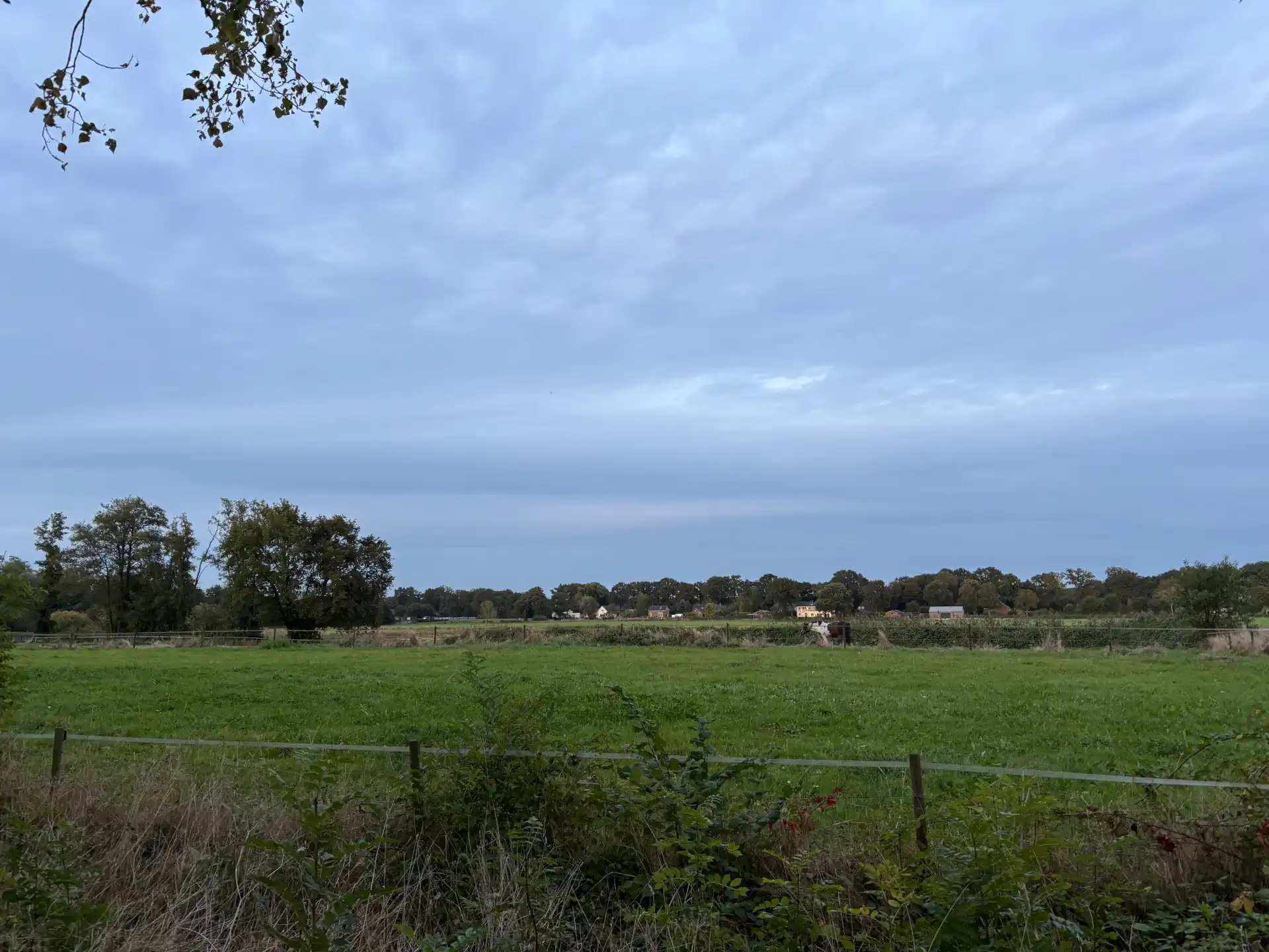 Foto Heuloërbroek weide